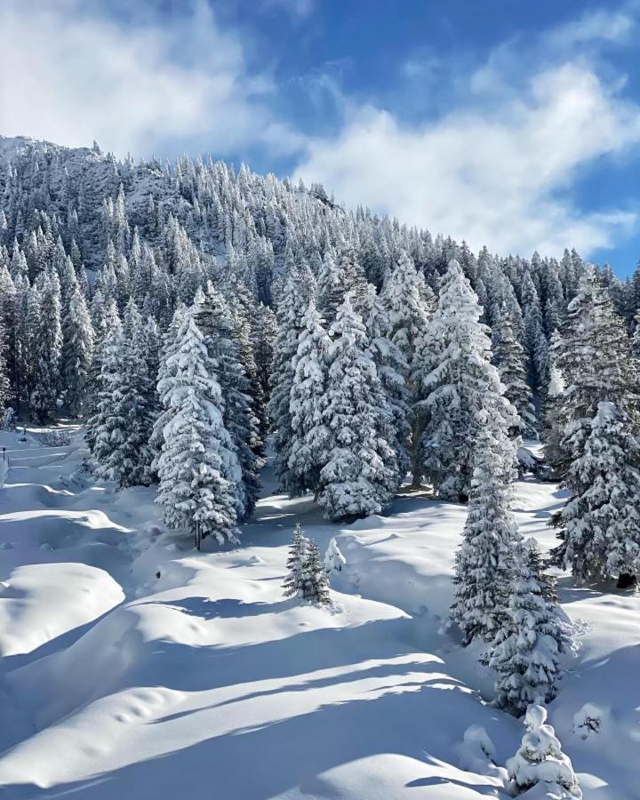 Отель Haus Tirol Эрвальд Экстерьер фото
